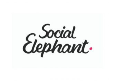 Social Elephant