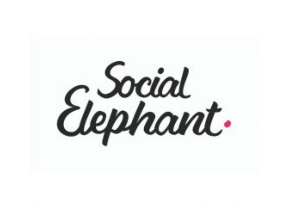 Social Elephant
